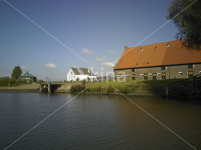 National Park de Biesbosch