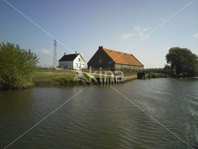 Nationaal Park de Biesbosch