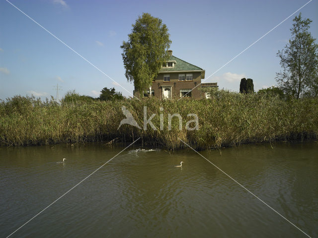 Nationaal Park de Biesbosch