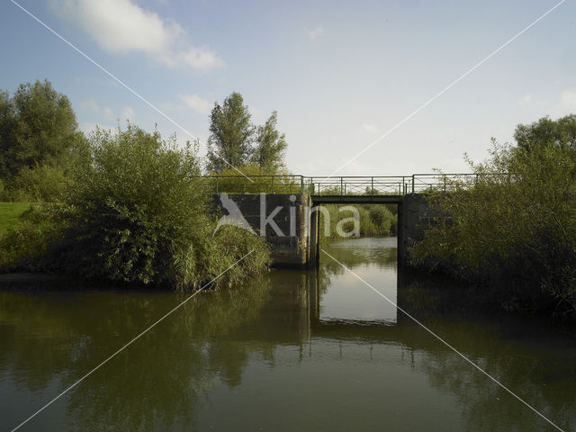 Nationaal Park de Biesbosch