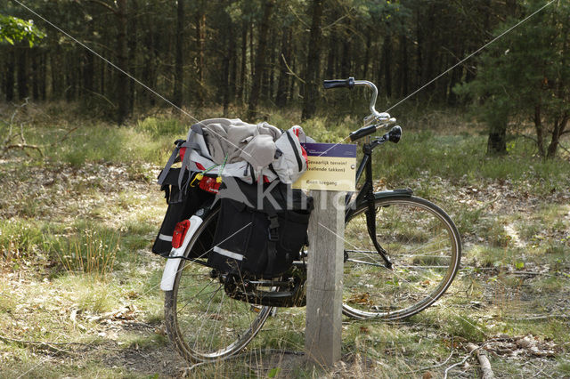 Nationaal Park Sallandse Heuvelrug