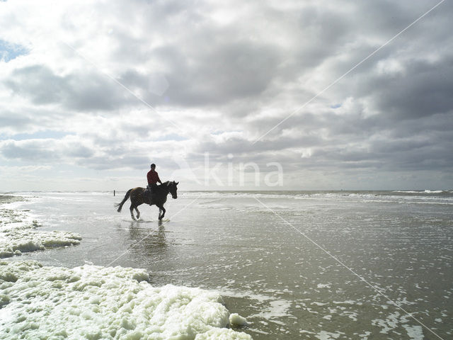 Noordzeestrand