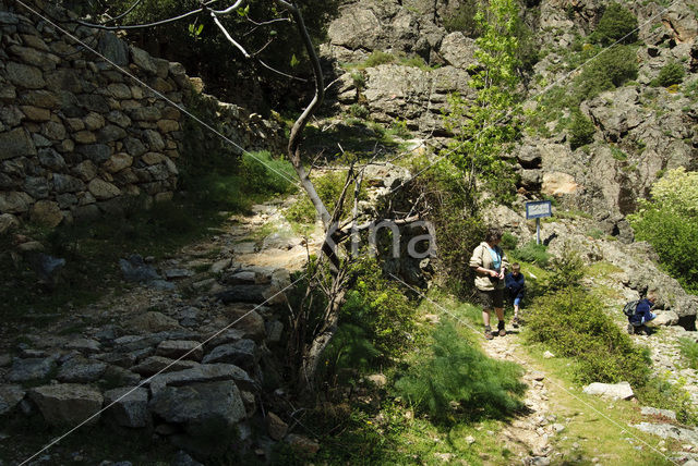 Scala di Santa Regina