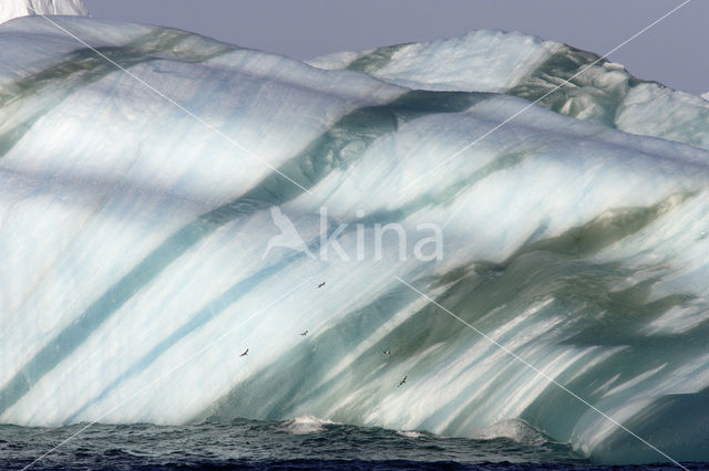 South Shetland islands