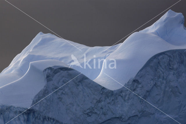 South Shetland islands