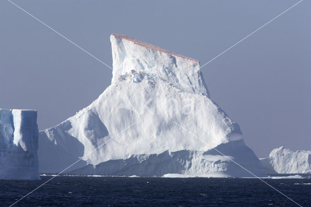 South Shetland islands