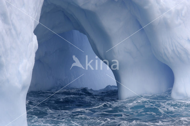 South Shetland islands