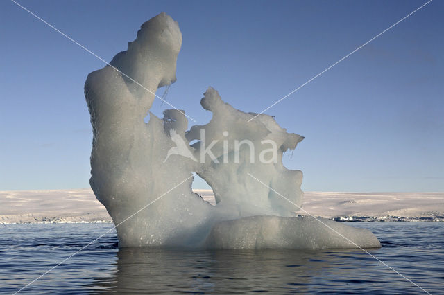 South Shetland islands