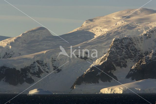 South Shetland islands