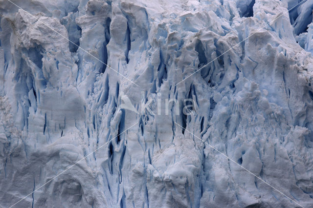 South Shetland islands