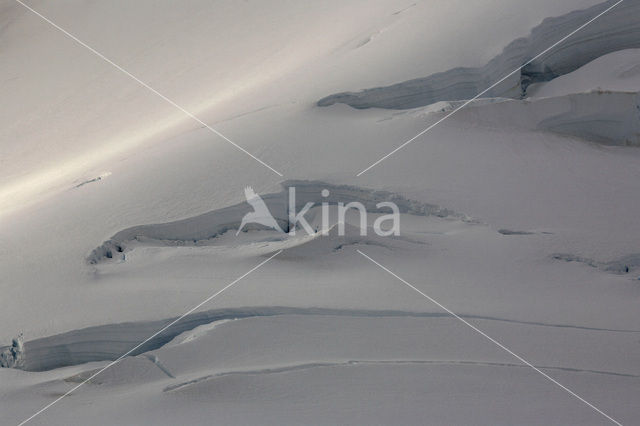 South Shetland islands