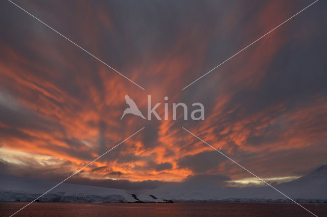 South Shetland islands