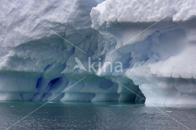 South Shetland islands