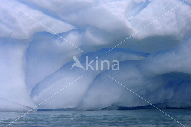 South Shetland islands