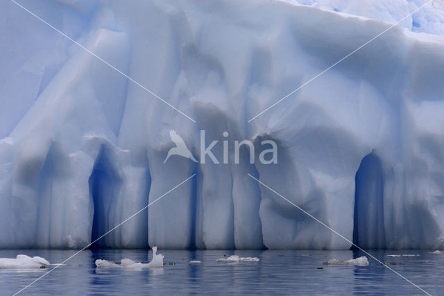 South Shetland islands