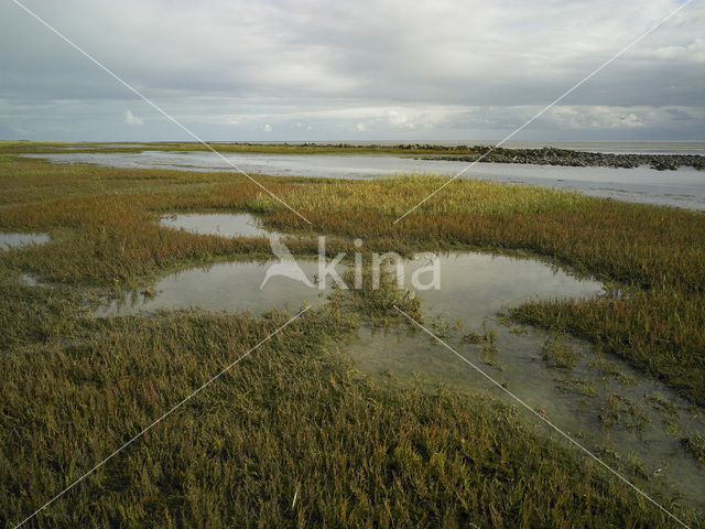 Terschelling