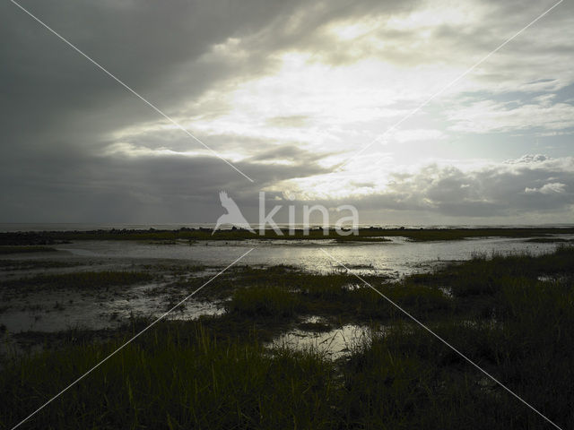 Waddenzee