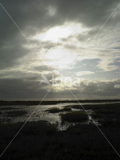 Waddenzee