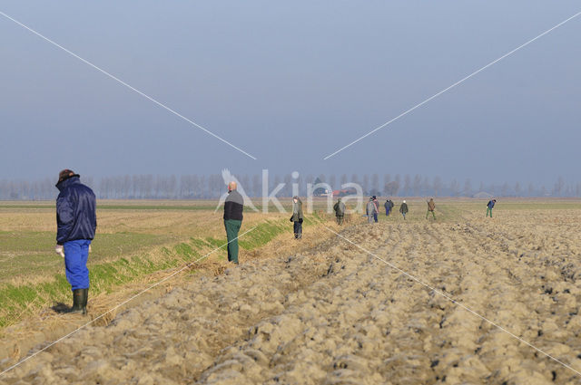 Groningen