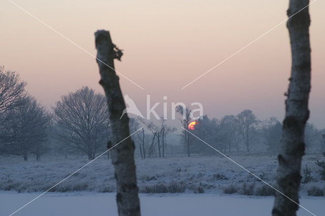 Kampina