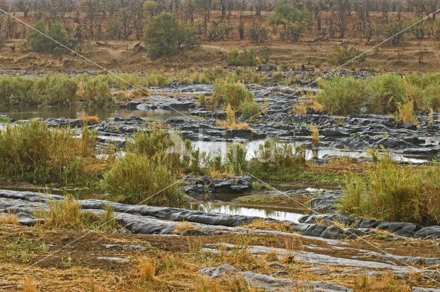 Kruger Park