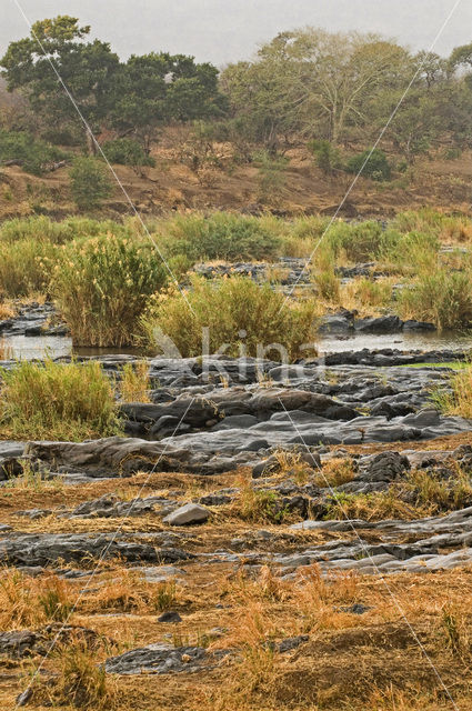 Kruger Park