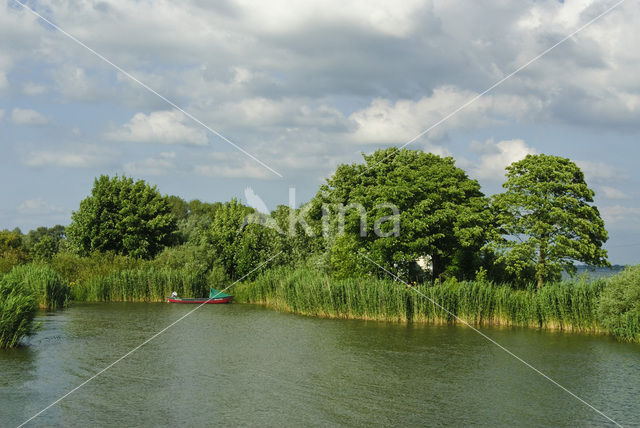 Nationaal Park de Biesbosch