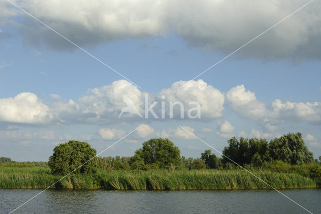 Nationaal Park de Biesbosch