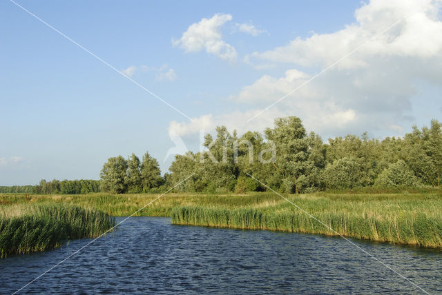 Nationaal Park de Biesbosch