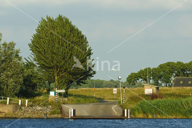 Nationaal Park de Biesbosch