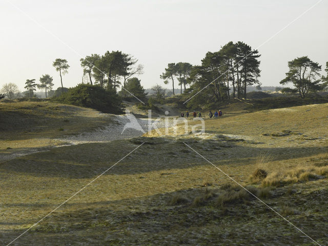 Nationaal Park Drents-Friese Wold