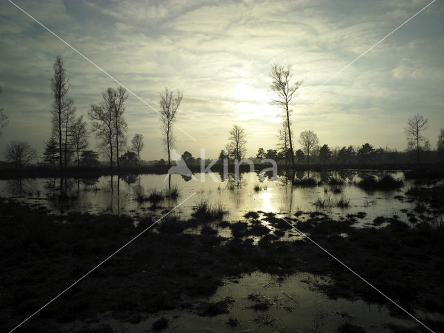 Nationaal Park Drents-Friese Wold