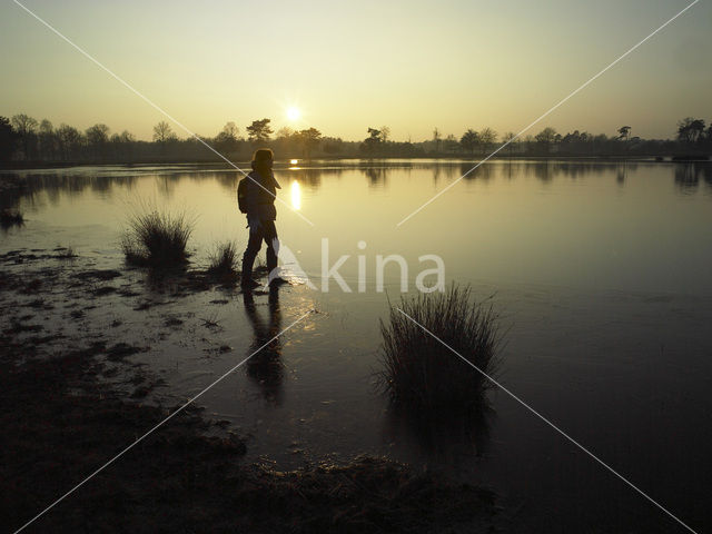 National Park Drents-Friese Wold