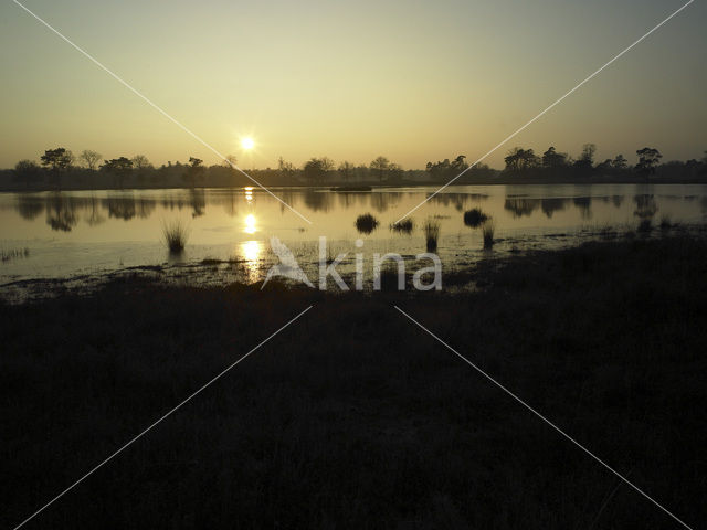 Nationaal Park Drents-Friese Wold