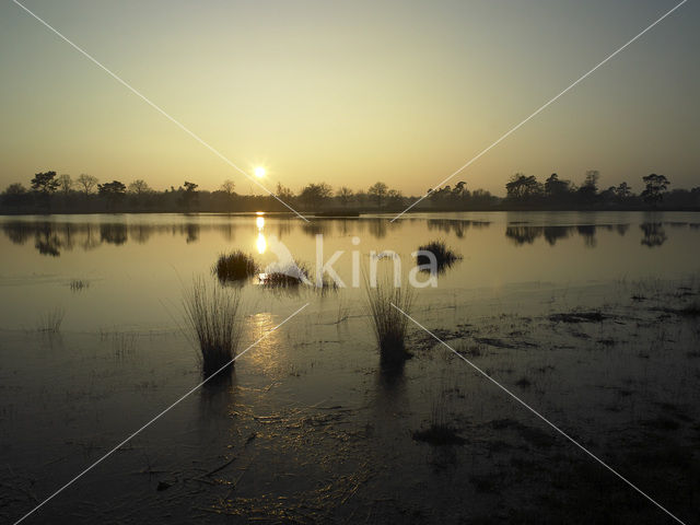 National Park Drents-Friese Wold