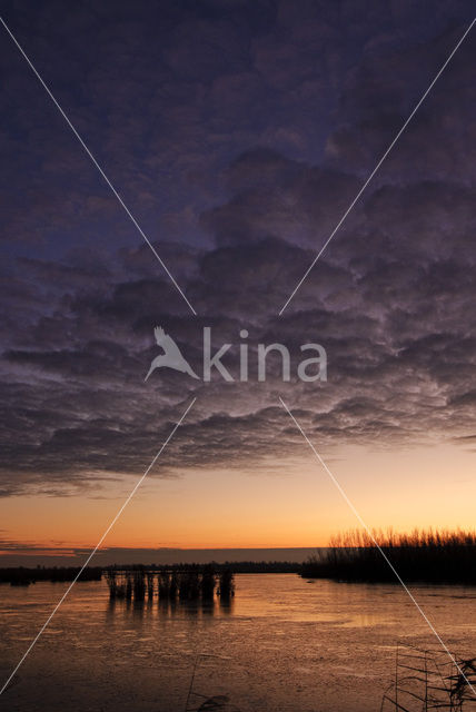 Nationaal Park Lauwersmeer