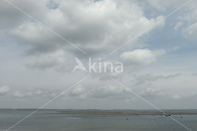 Nationaal Park Oosterschelde