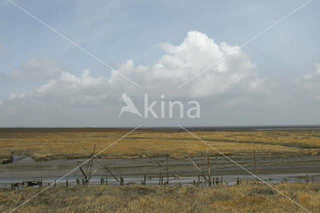 National Park Oosterschelde