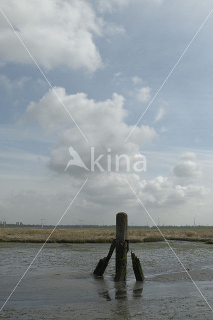 Nationaal Park Oosterschelde