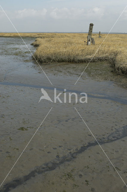 Nationaal Park Oosterschelde