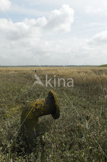 Nationaal Park Oosterschelde