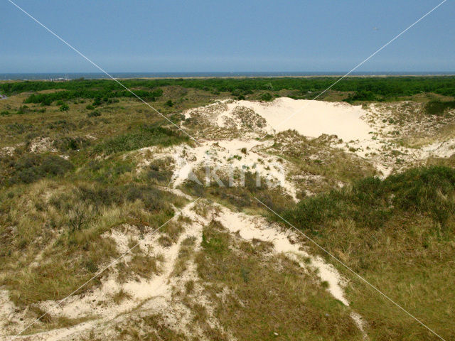 Nationaal park Schiermonnikoog