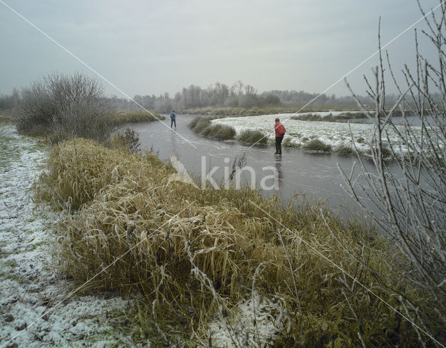 Rottige Meente