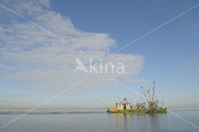 Waddenzee