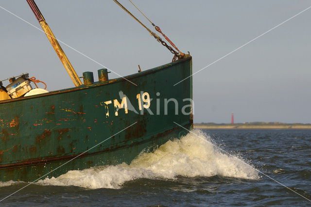 Waddenzee