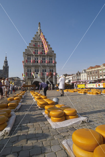 Gouda