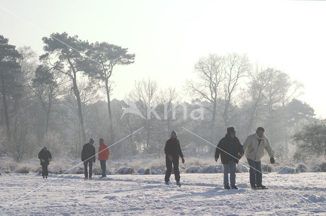 Kampina