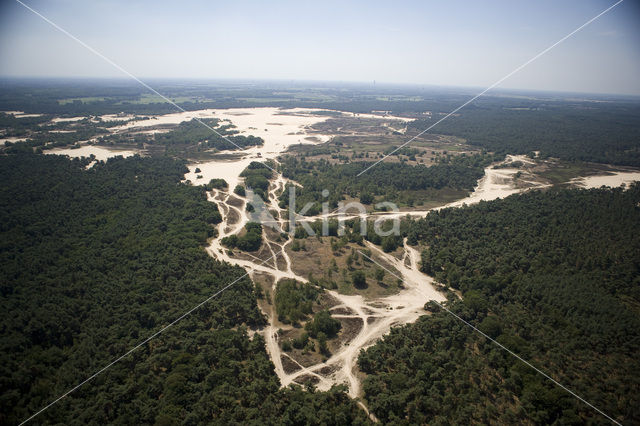 Nationaal Park Loonse en Drunense Duinen