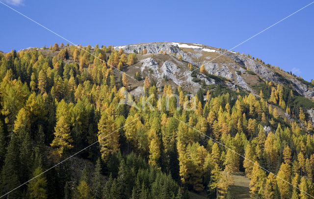 Nationaal Park Nockberge