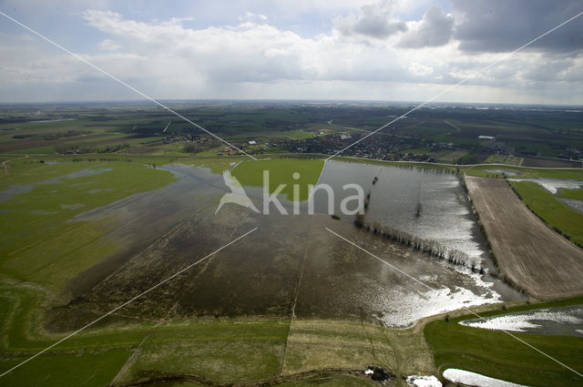 Nederrijn